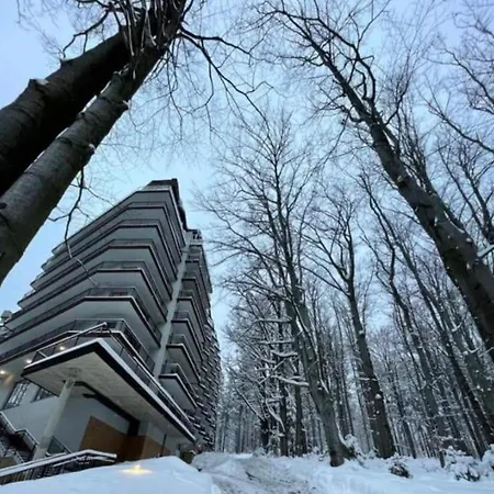 Daire Srodkowa Widok Na 2 Pietro Garaz Gratis