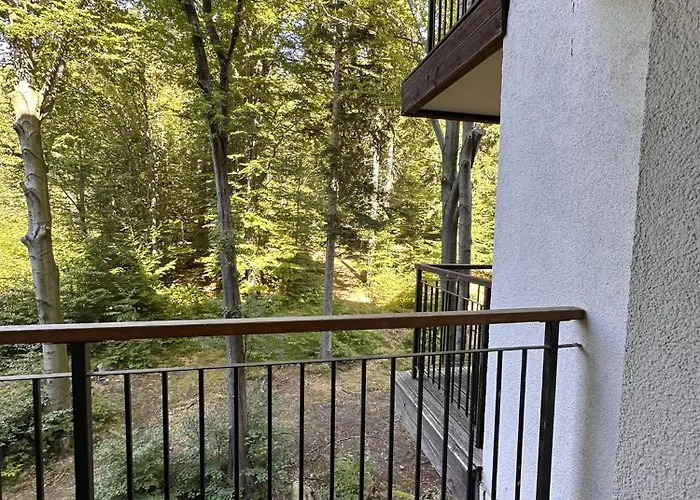 środkowa Widok Na 2 Piętro Garaż Gratis Apartament *