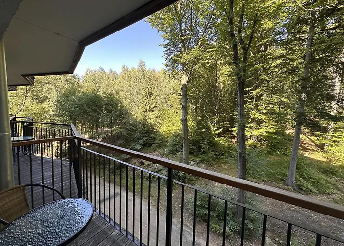 Apartament środkowa Widok Na 2 Piętro Garaż Gratis *